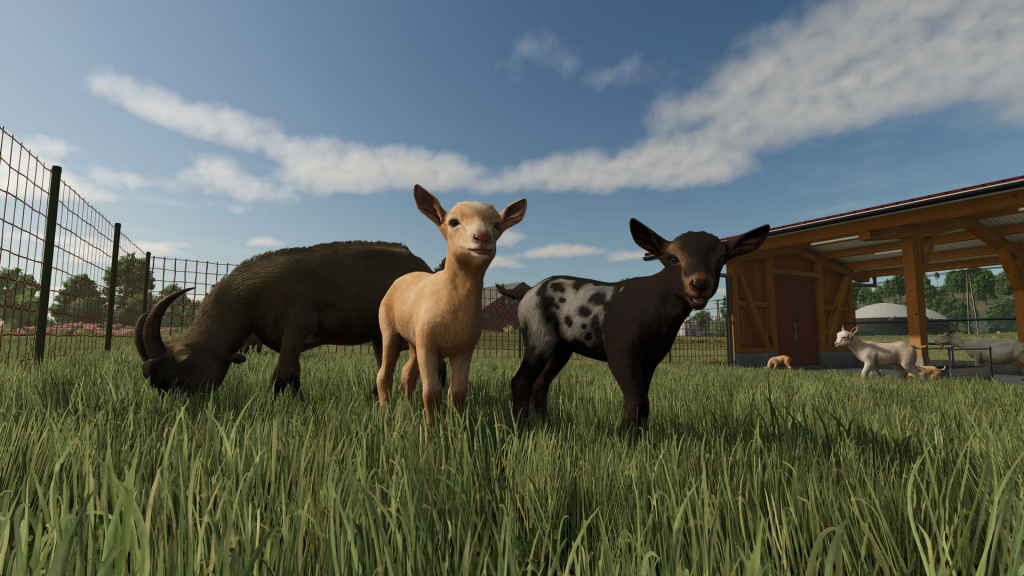 图片[2]-模拟农场25/Farming Simulator 25/支持网络联机-龙龙GAME游戏库・龙龙游戏库专注单机游戏试玩及正版推荐！